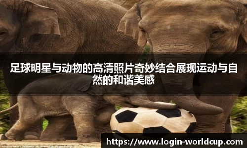 世界杯买球官网